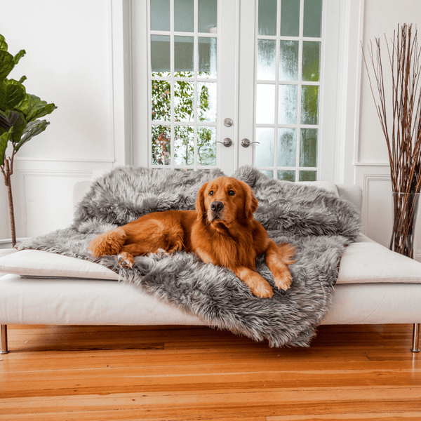 Dog Car Seat Cover Waterproof – Pacco Pet