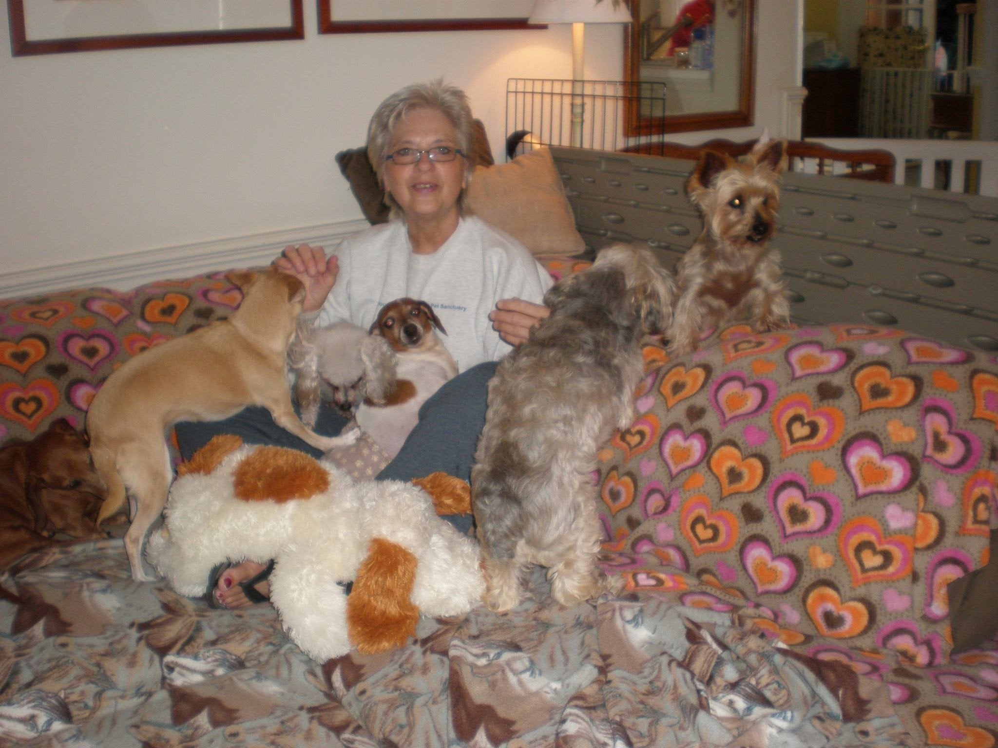 Woman Turns Home Into Sanctuary For Aging Pets