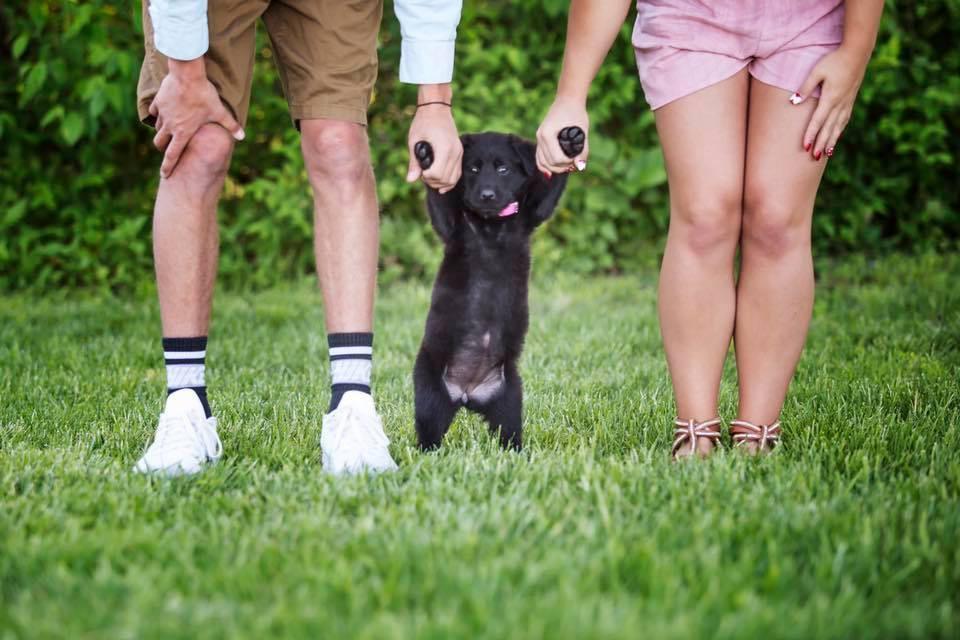 Couple Has Newborn Photo Shoot For New Rescue Puppy