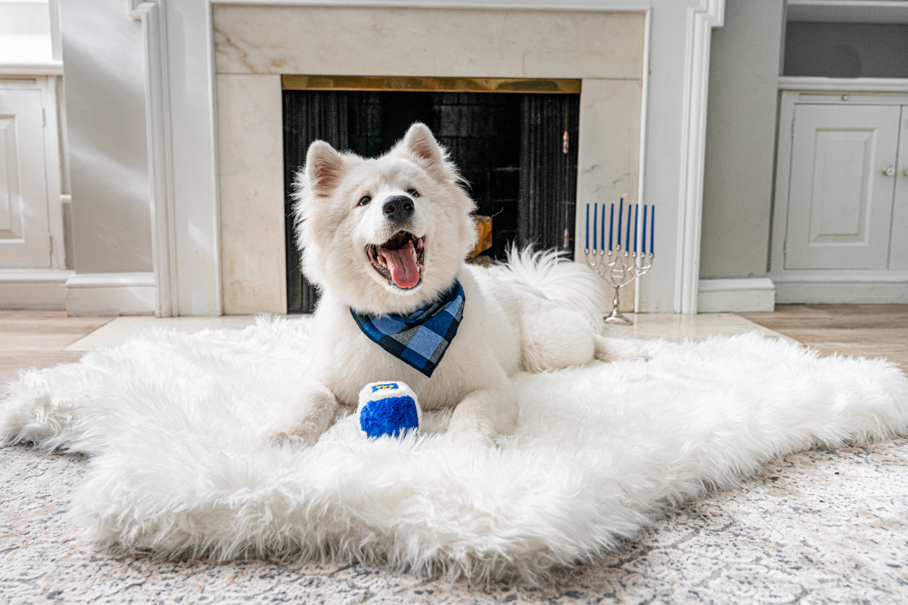 Guide to Celebrating Hanukkah Safely With Your Pets