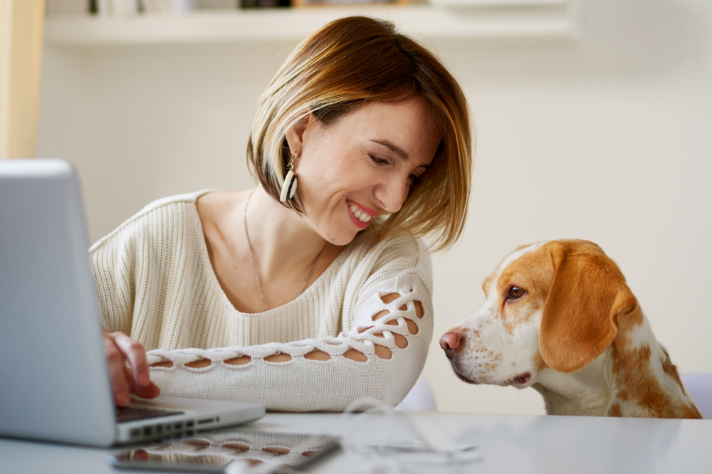 woman in front of laptop looking down at beagle