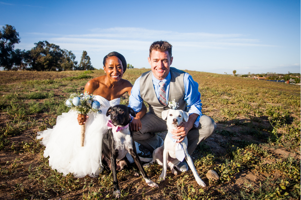 Pawsmaids: Pets in Your Wedding