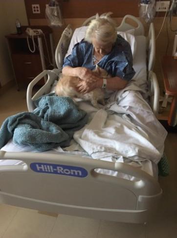 Girl Snuck In Grandma's Beloved Dog To Visit Her In Hospital