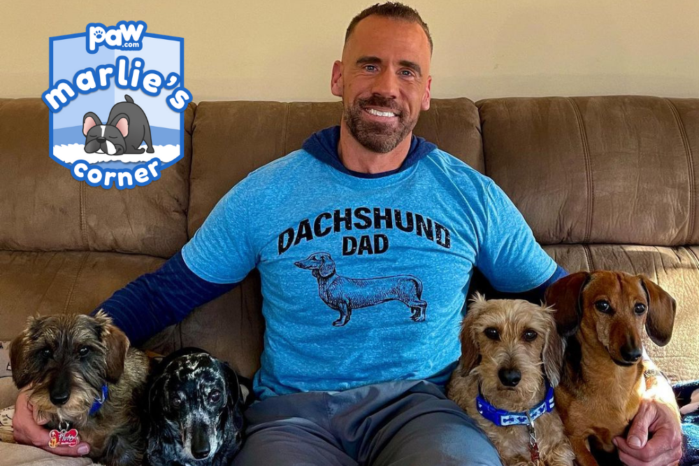 Adam Christman vet posing with several dogs on couch