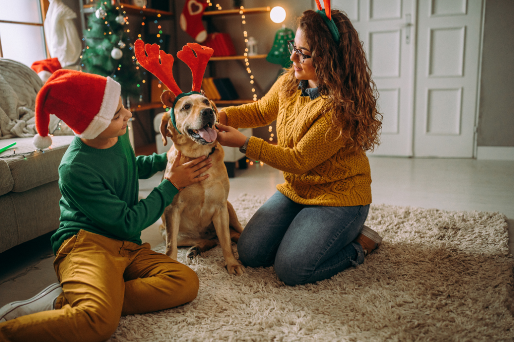 How Do You Celebrate the Holidays with Your Pet?