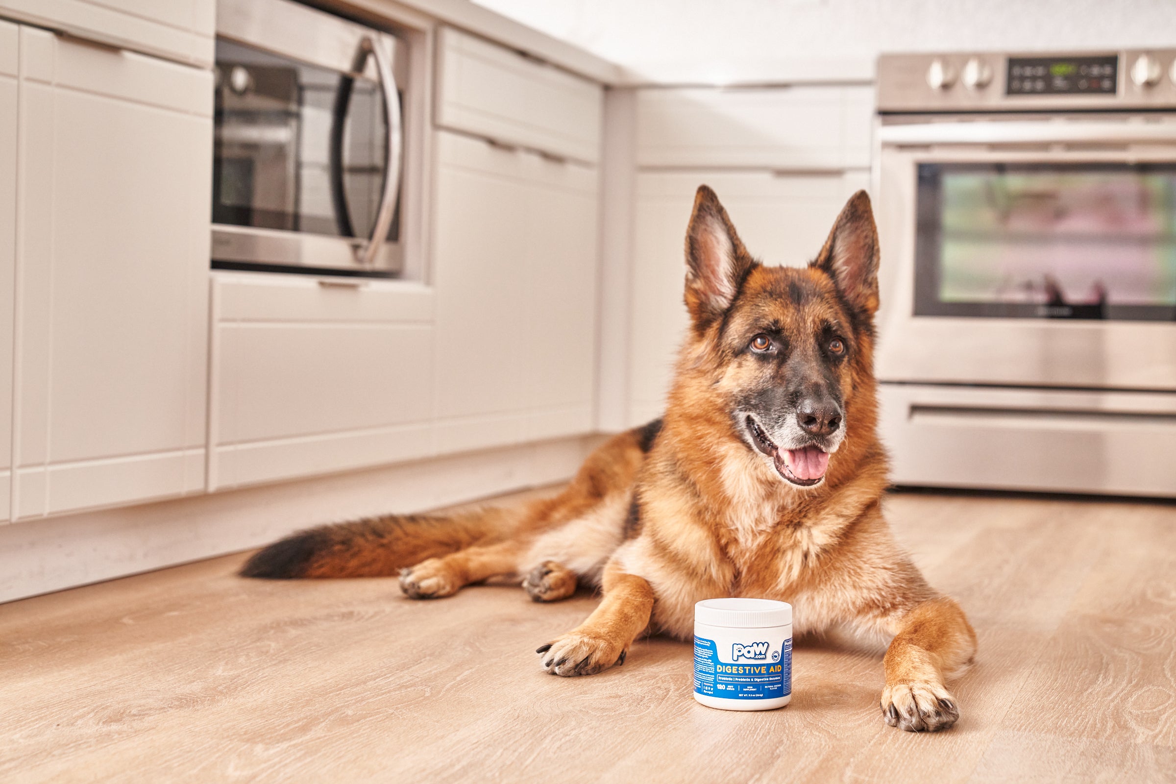 Why Digestive Supplements for Dogs Are Helpful