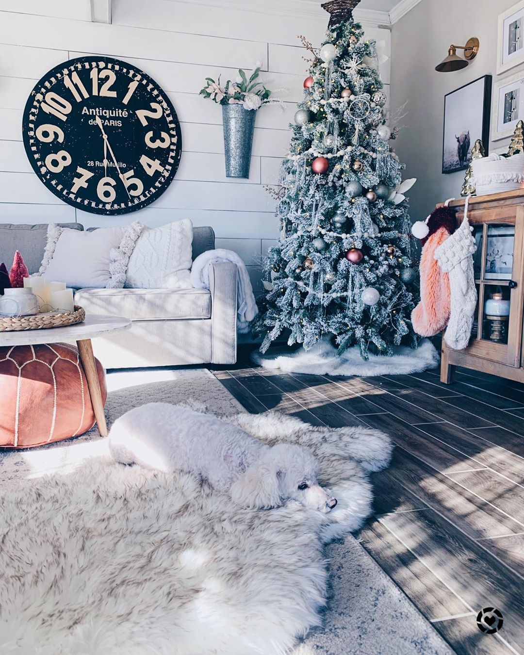 8 Beautiful Pet Friendly Homes Decorated For The Holidays