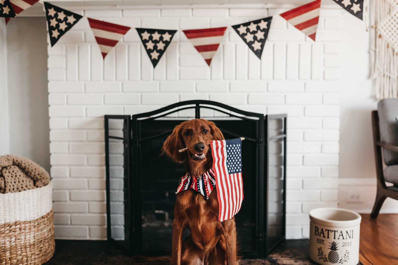 4 Ways to Calm Your Dog on July Fourth