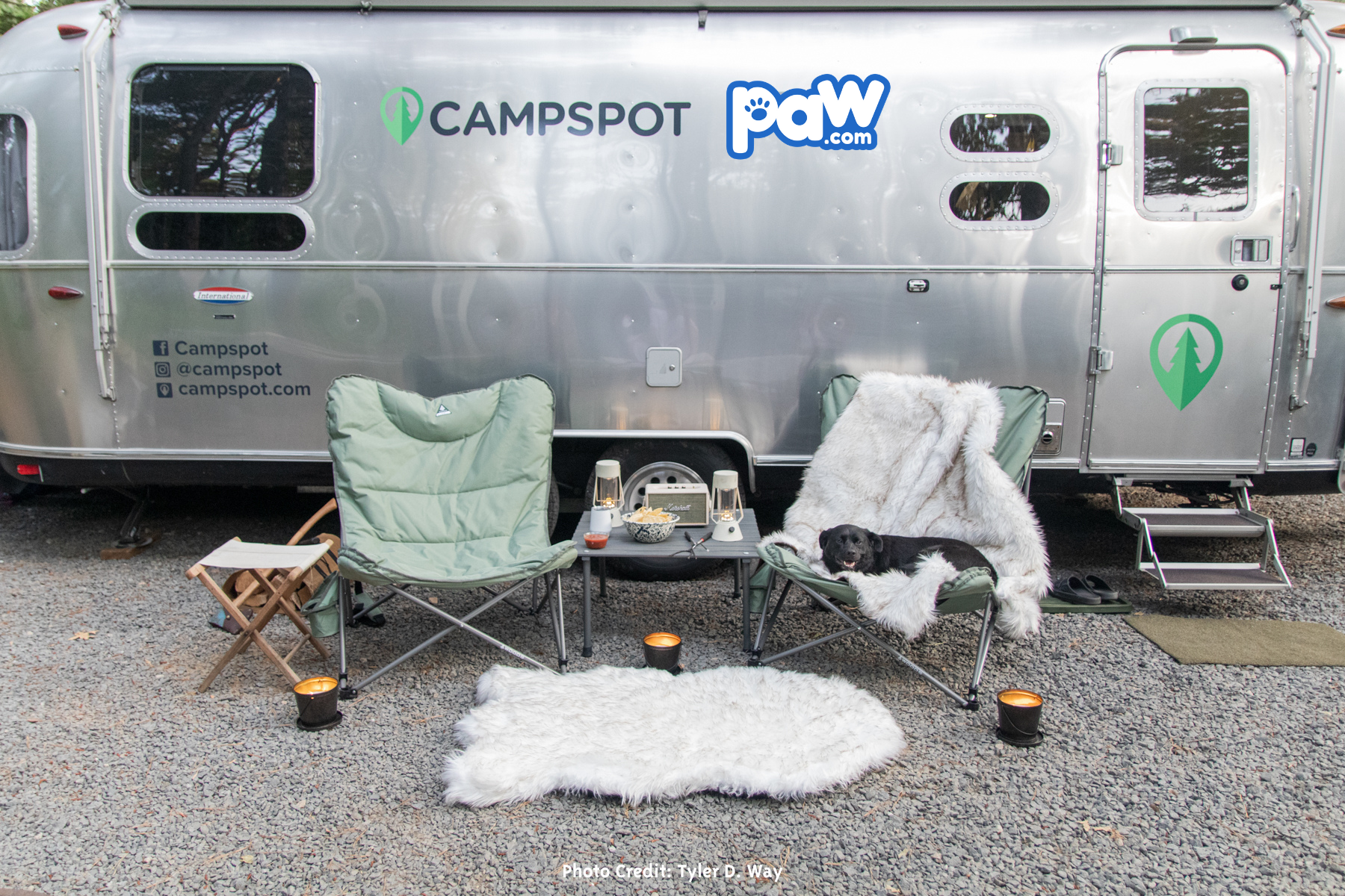 Paw.com & Campspot Partner to Promote Pet-Friendly Camping