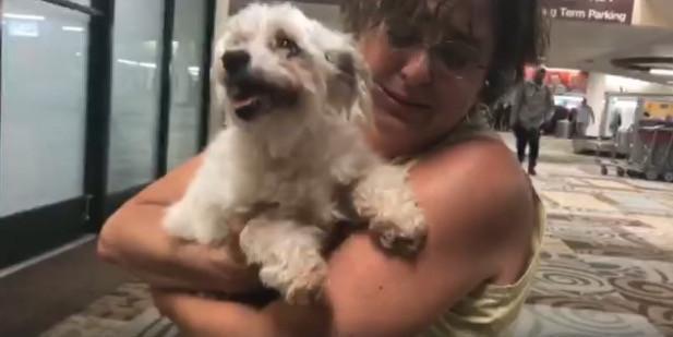 Watch: Dog Reunited With Owner After Missing For Over 2 Years