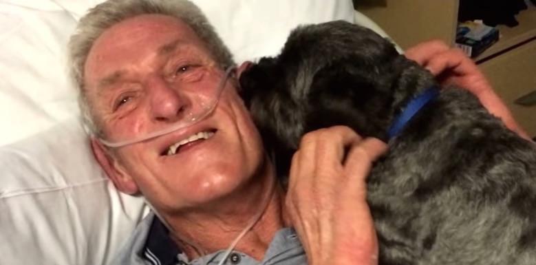 Rescue Dog Honored For Helping Owner Come Out of a Coma