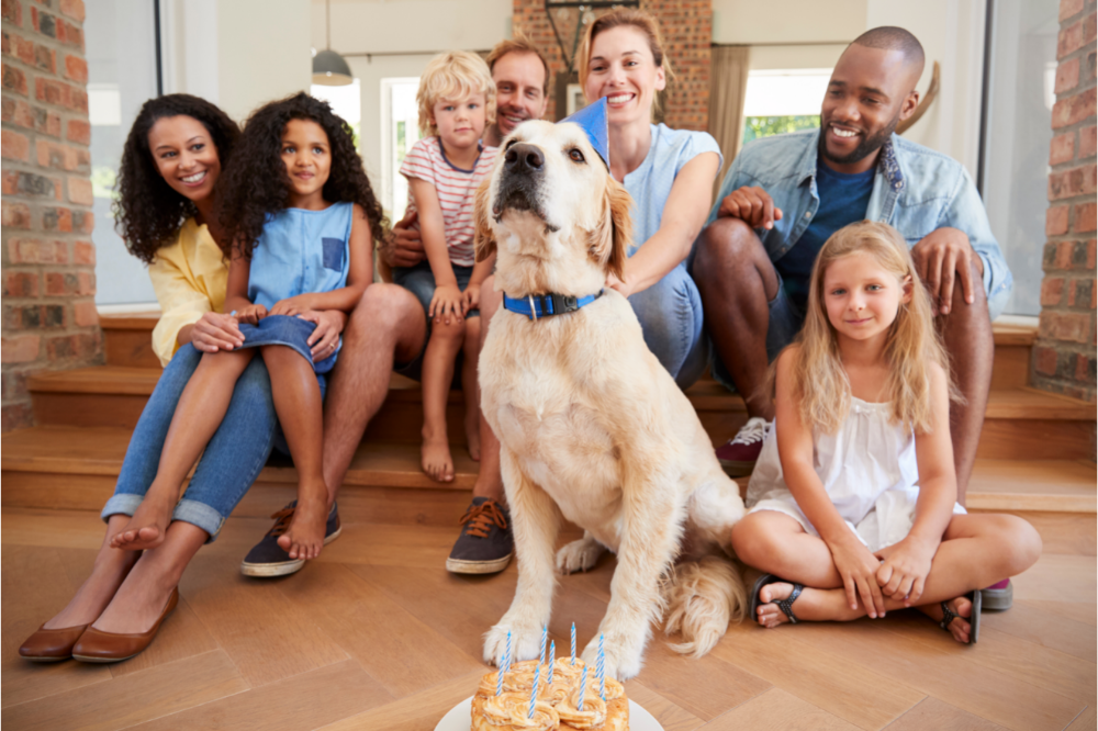 several adults & children behind dog sitting proudly