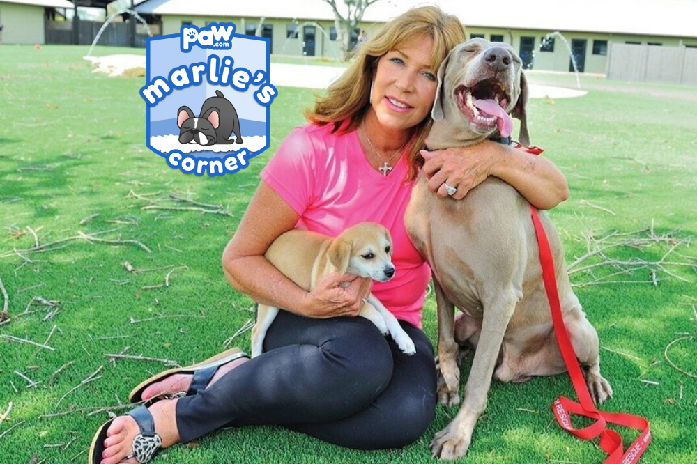 Marlie's Corner with Lauree Simmons of Big Dog Ranch Rescue