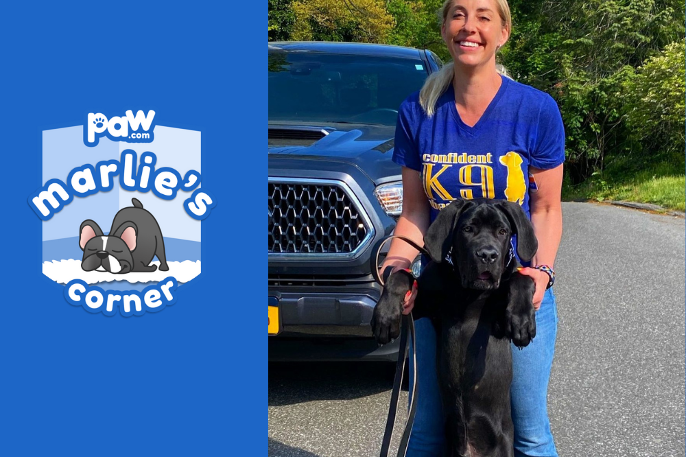 Marlie’s Corner with Dog Trainer Kiley Kelly