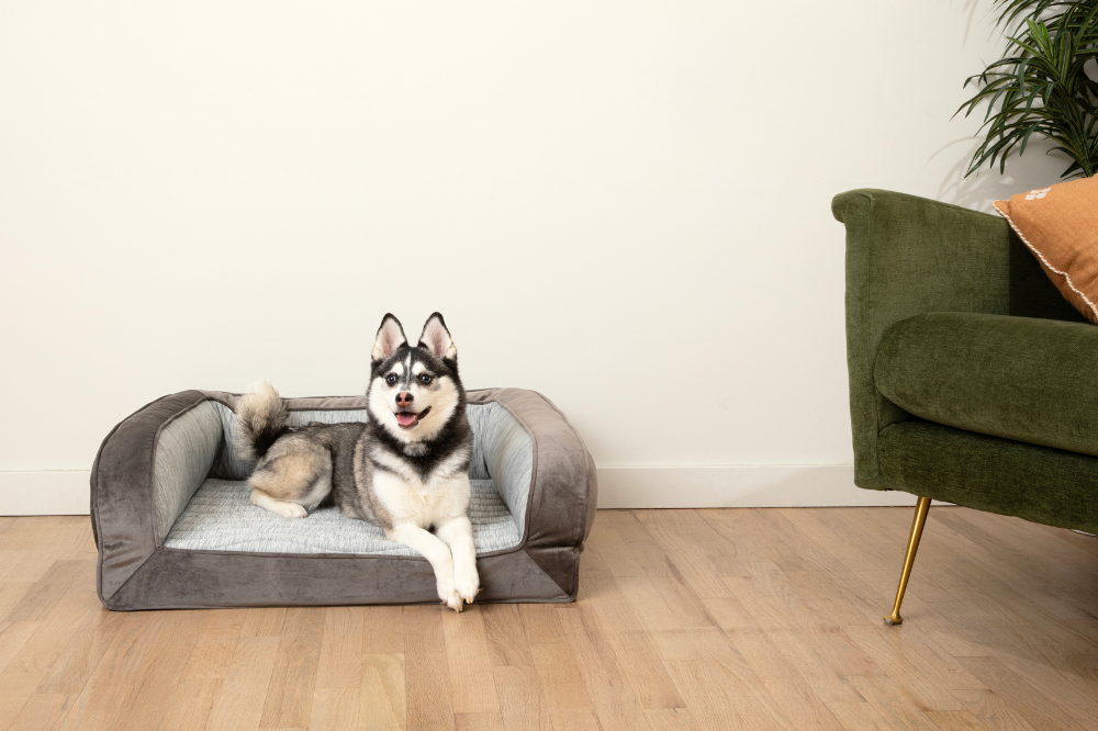 Cool Comfort Indoors: 5 Compelling Reasons to Choose a Cooling Dog Bed