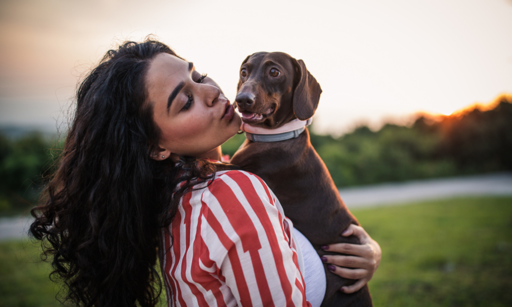 8 Ways To Love Your Dog