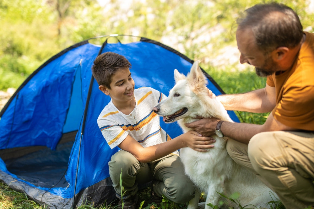 father & son holding white dog with blue tent in background