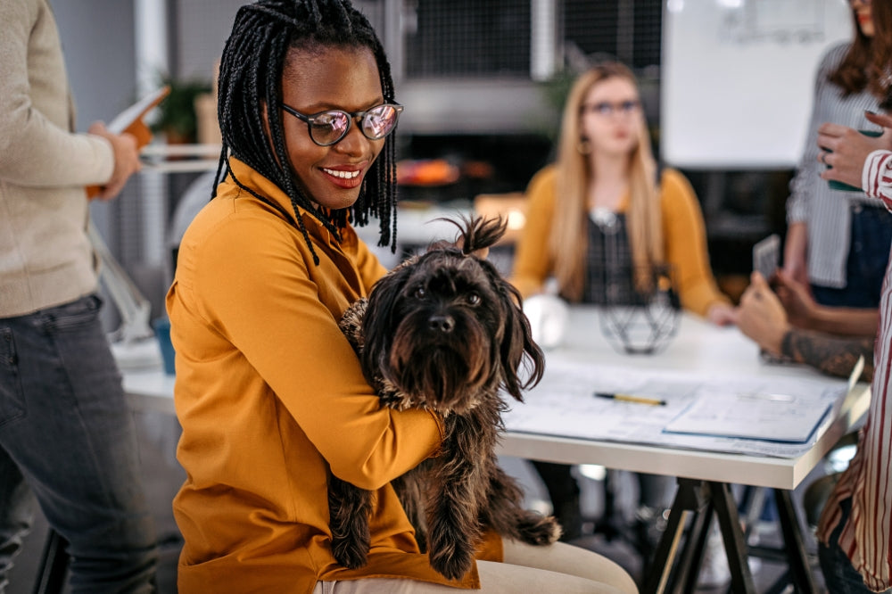 african american woman with glasses at conference table holding brown shih tzu in lap with people in background