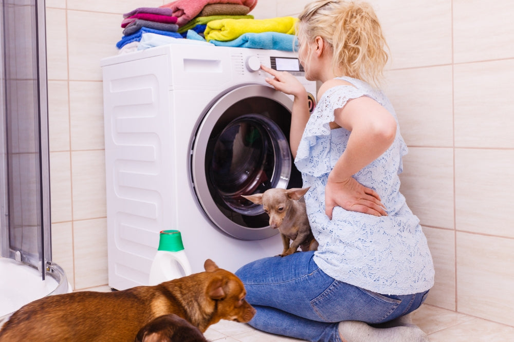 Blonde woman pressing button on washing machine with 3 little dogs surrounding her