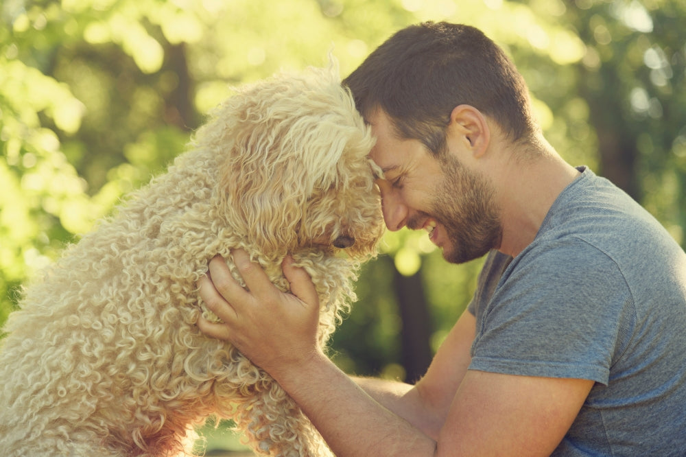 Man pressing his forehead to dog's forehead lovingly