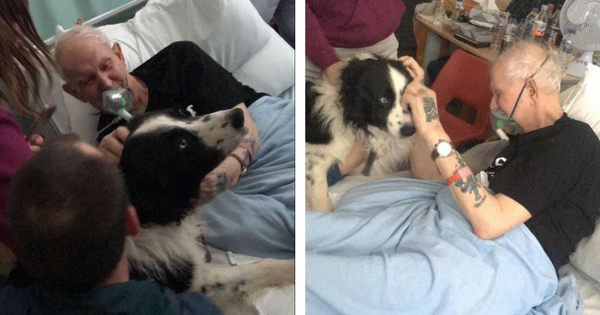 Terminally Ill Man's Dying Wish to See His Dog Granted by Hospital