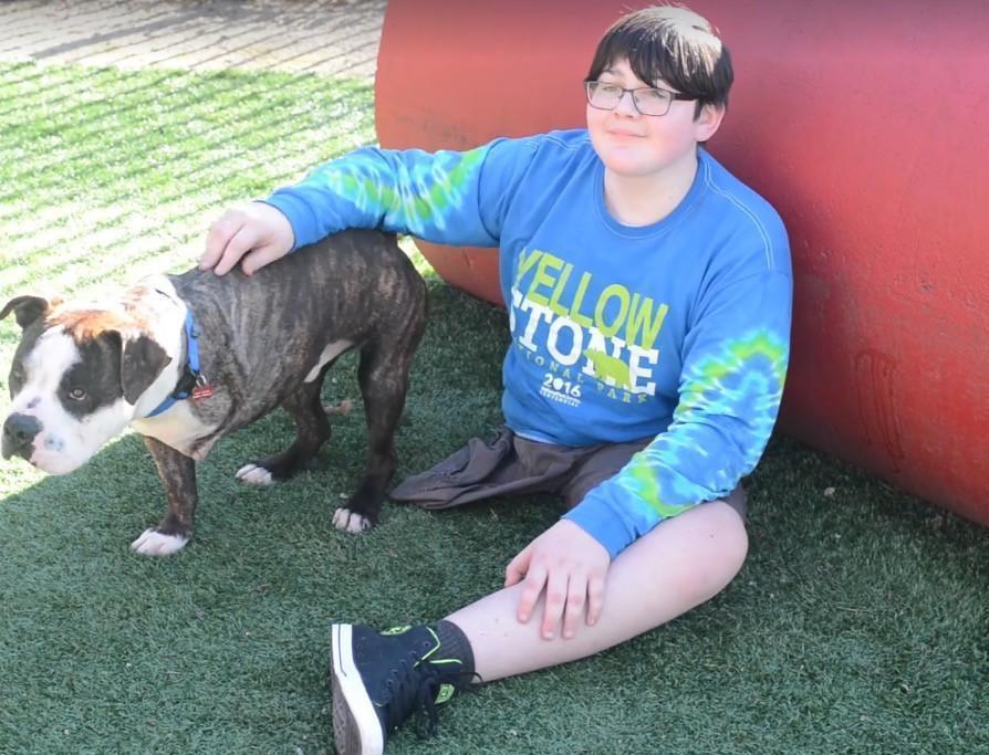 WATCH: 3-Legged Dog Finds Home with 12-Year-Old Cancer Survivor