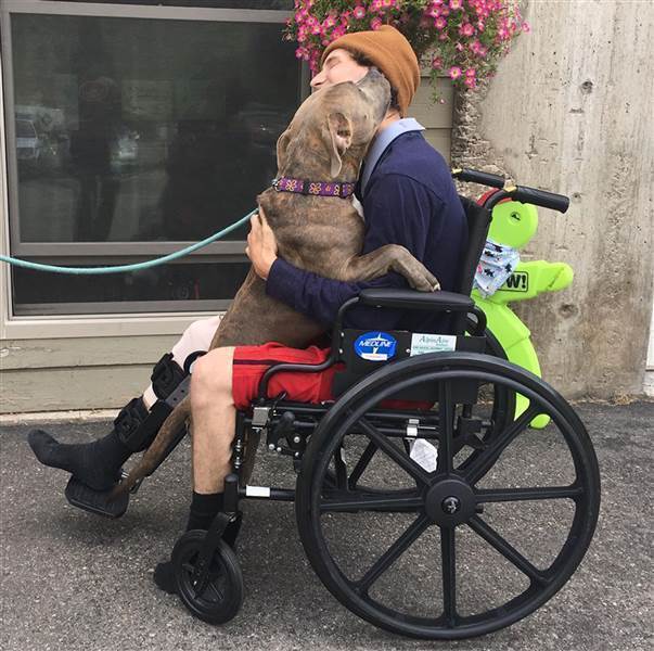 Man & Dog Have Sweet Reunion After They Were Hit By Drunk Driver