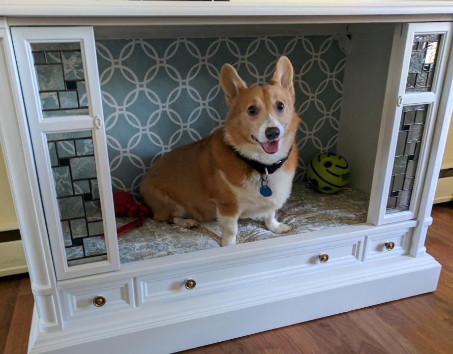 Pet Parent Turns Old-School TV Into Fancy Dog Bed