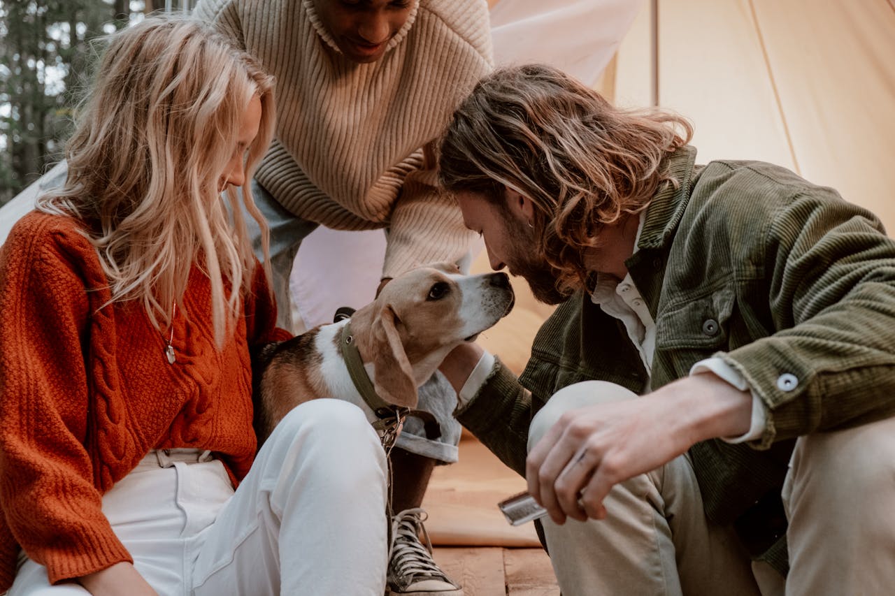 A group of people taking care of a dog