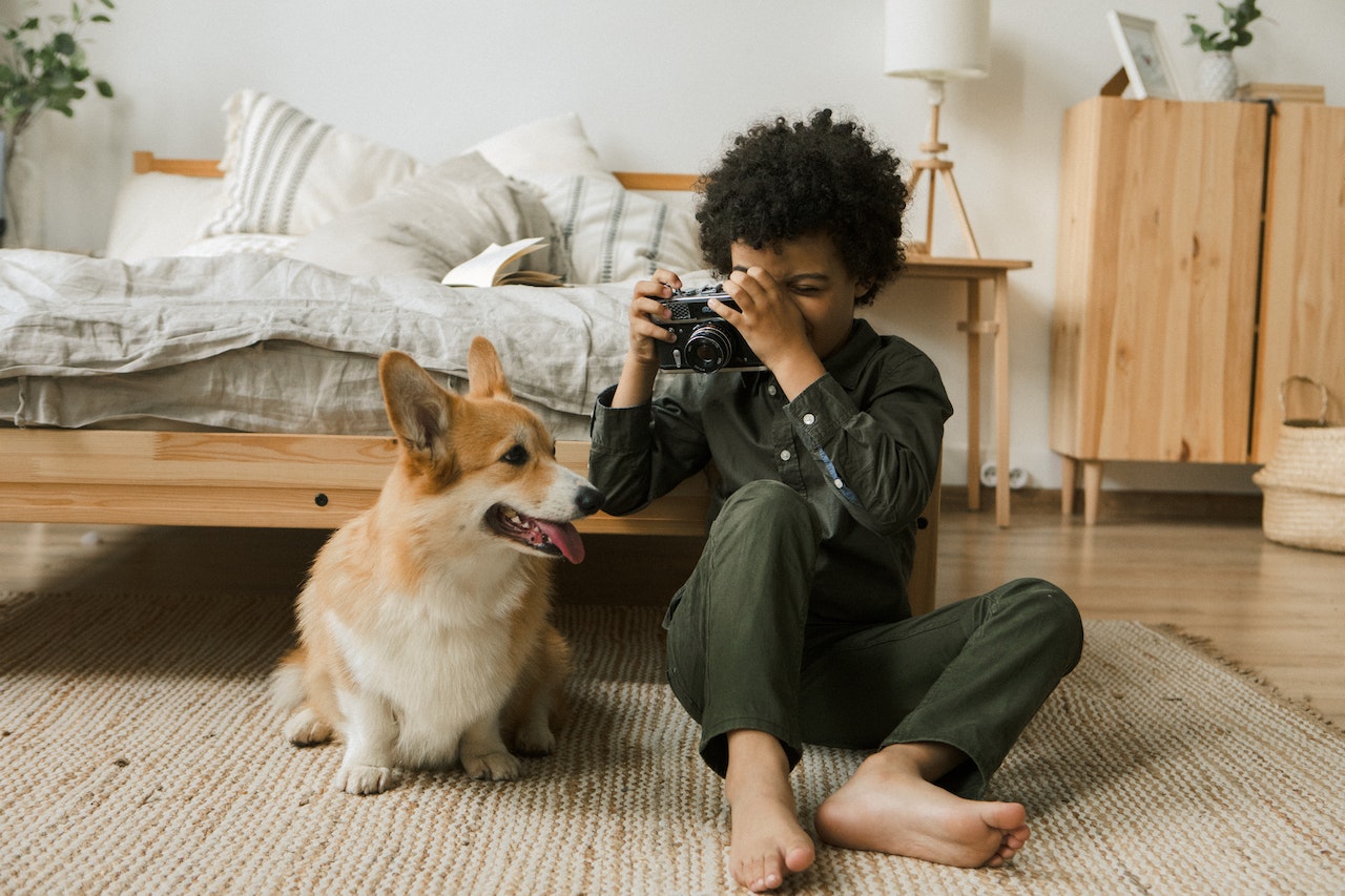 A young boy taking a picture of his Corgi puppy