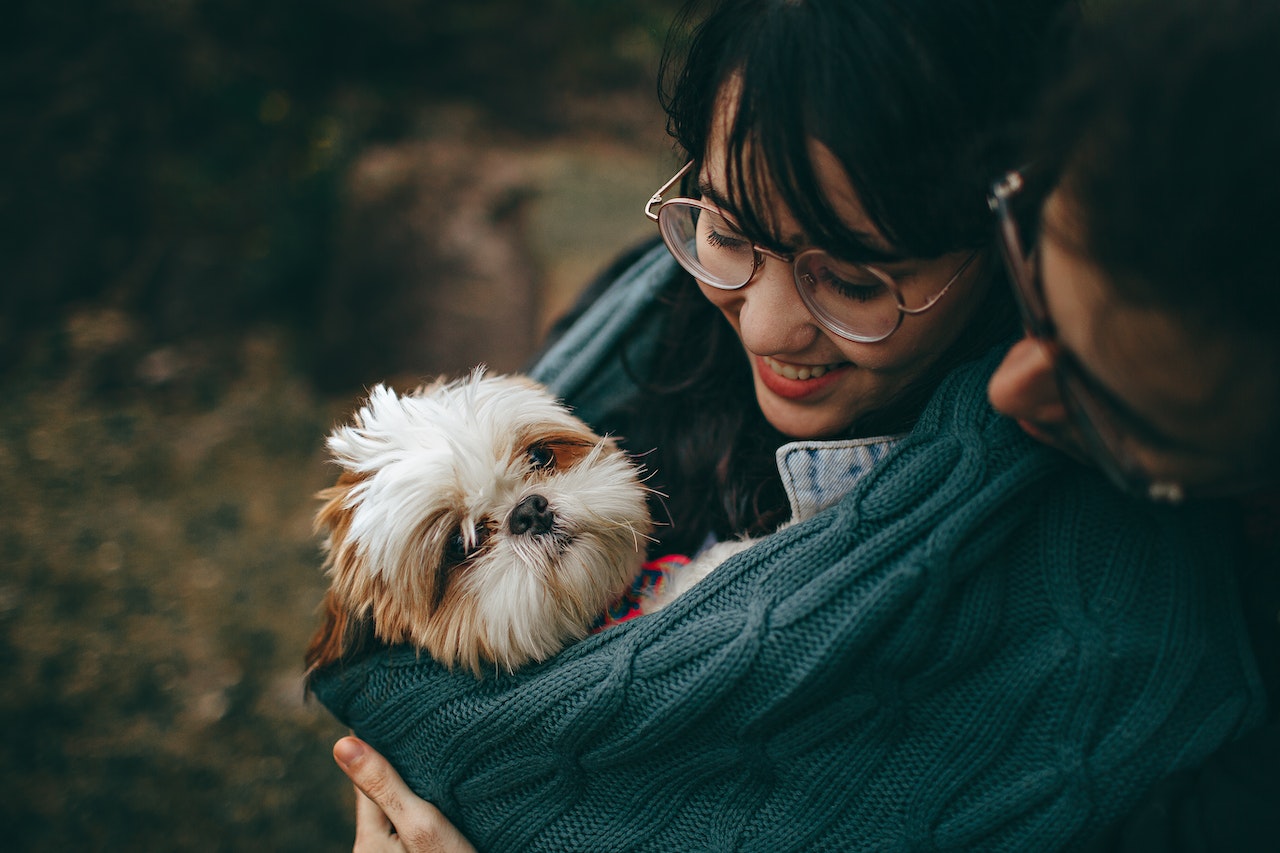 A small furry terrier puppy being held up