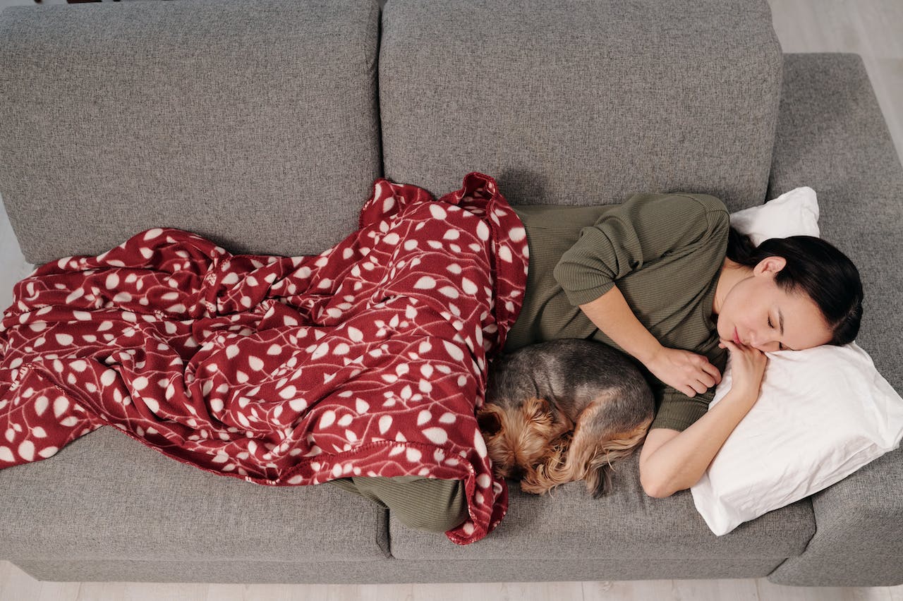 A curled up sleeping dog next to its owner