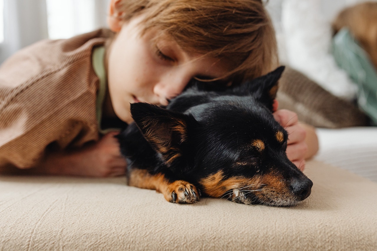 A young boy sleeping next to his pet dog