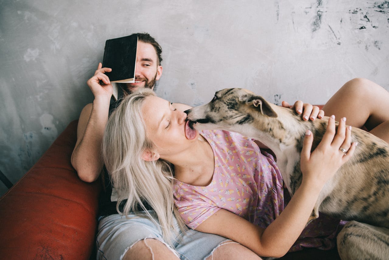 A dog licking a woman on a red bed