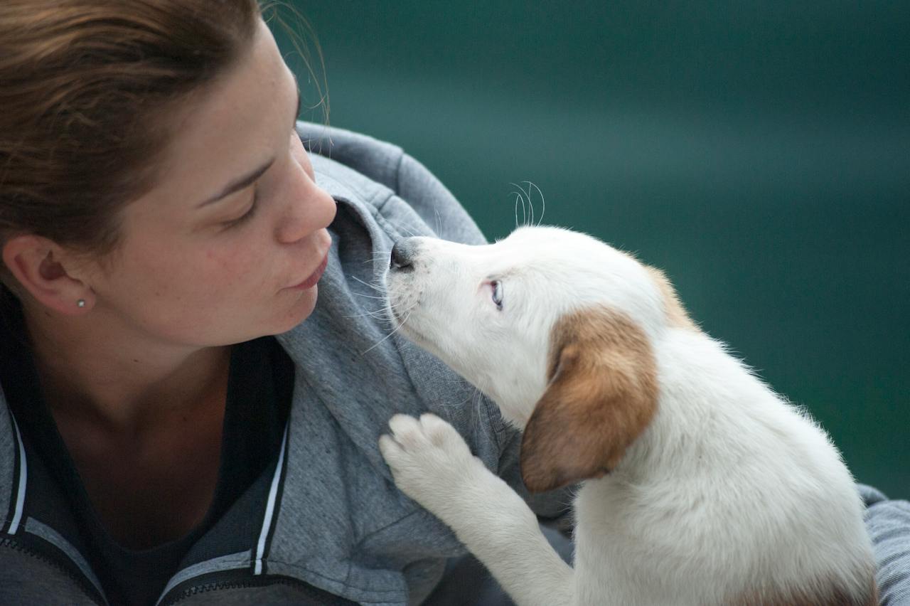 A dog smelling a person's breath