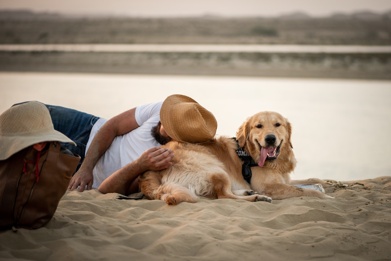 A man lying down on the beach with a Golden Retriever