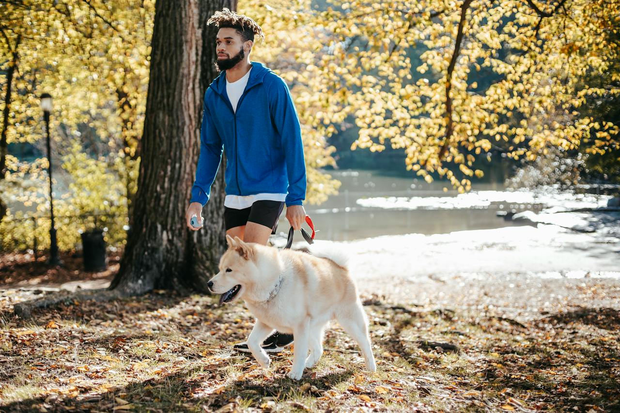 a man walking his white dog in the morning