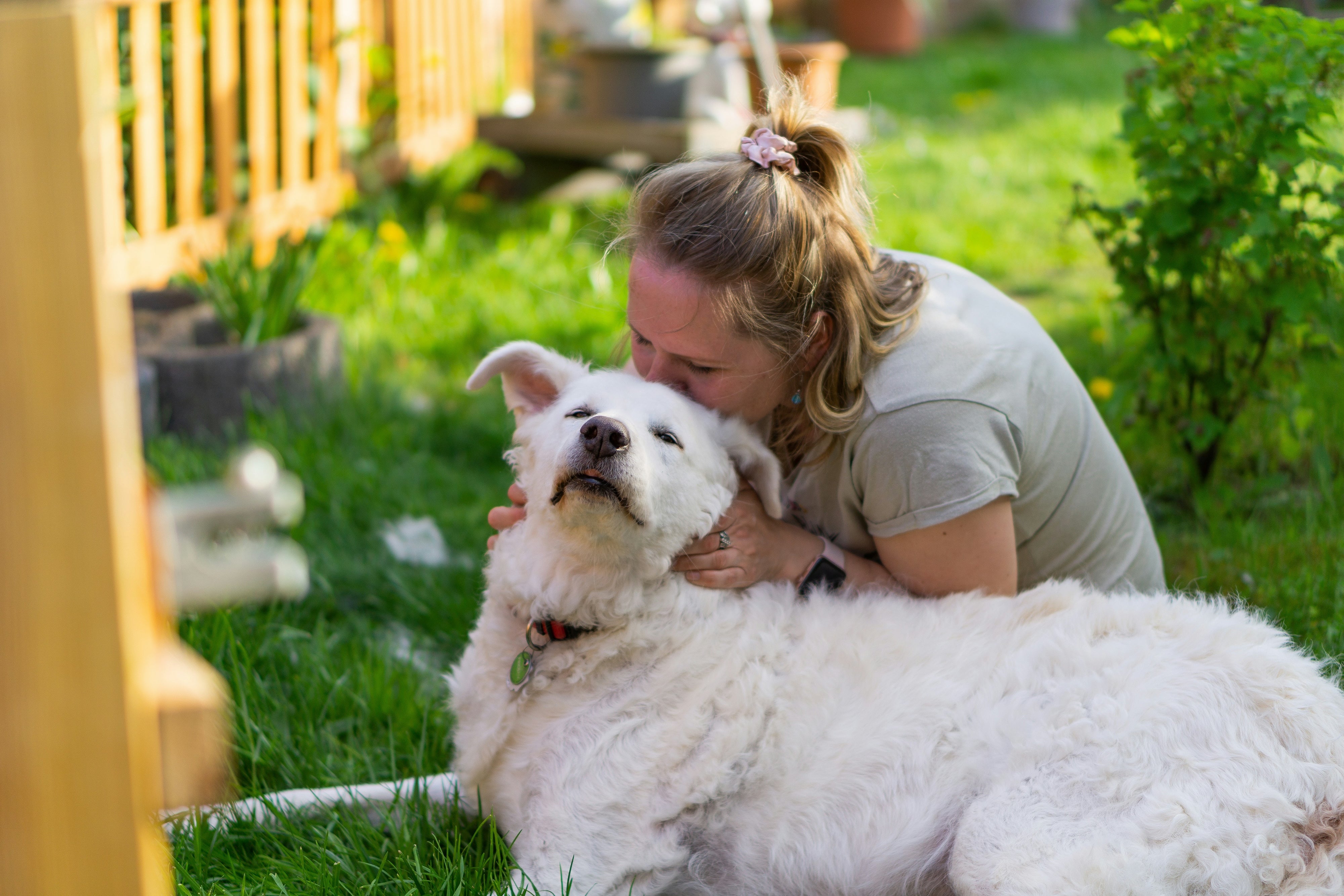 Celebrating Mother's Day for Dog Moms: A Special Day for All Pet Parents