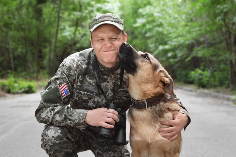 4 Ways Dogs Help Veterans Cope With PTSD