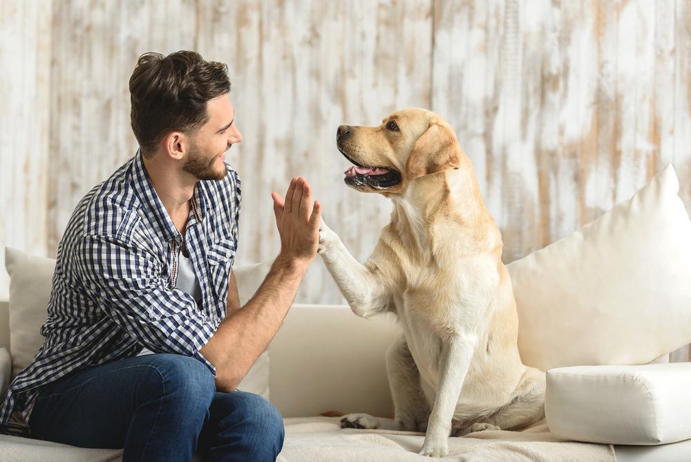 Study Finds That Dogs Are Cleaner Than Bearded Men