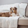 Paw.com x BarkBox PupProtector™ Short Fur Waterproof Throw Blanket - Polar White