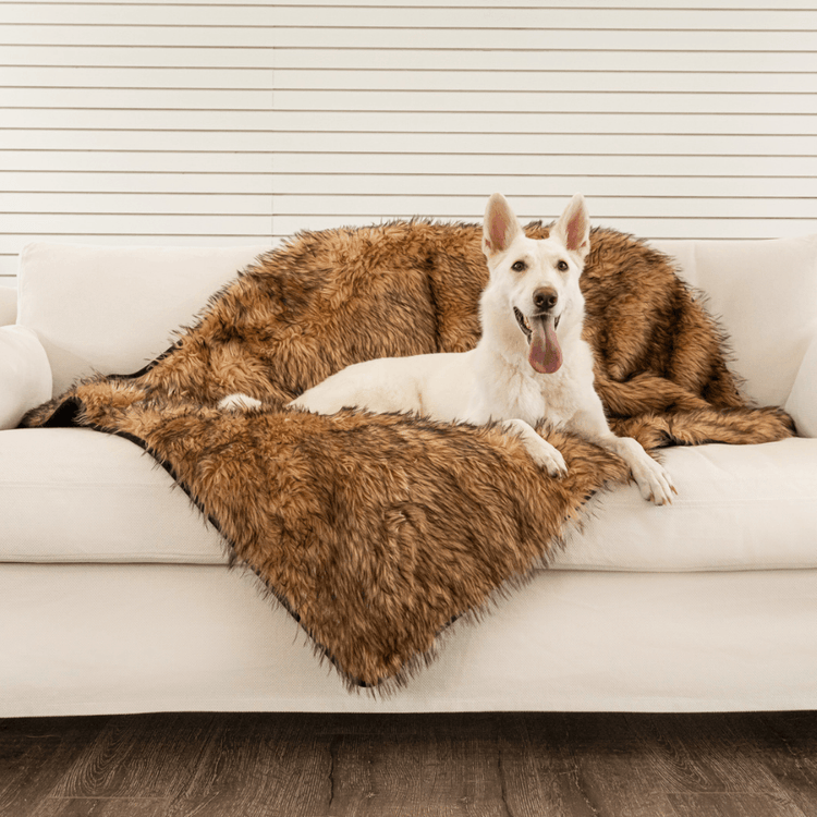 Paw.com x BarkBox PupProtector™ Waterproof Throw Blanket - Sable Tan