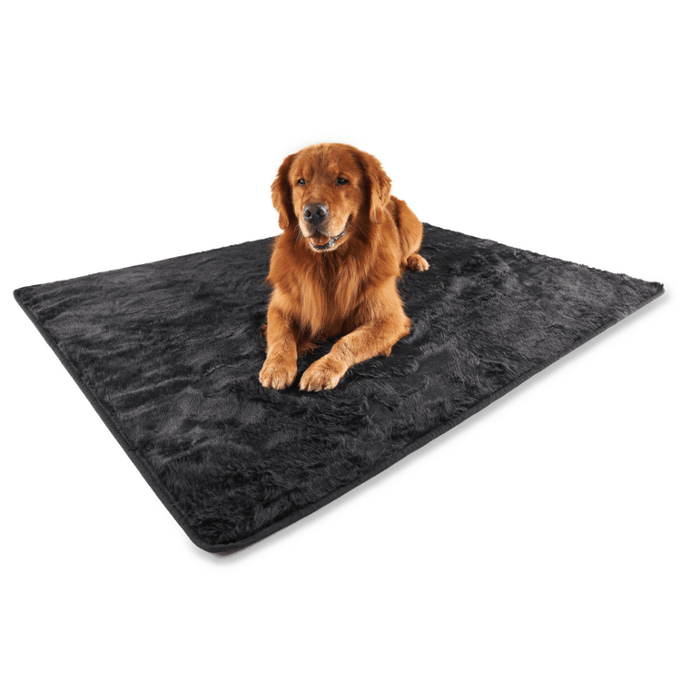 Paw.com x BarkBox PupProtector™ Short Fur Waterproof Throw Blanket - Midnight Black