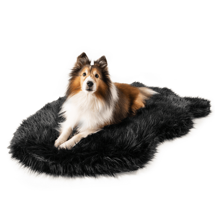 Paw.com x BarkBox PupRug™  Faux Fur Orthopedic Dog Bed - Midnight Black