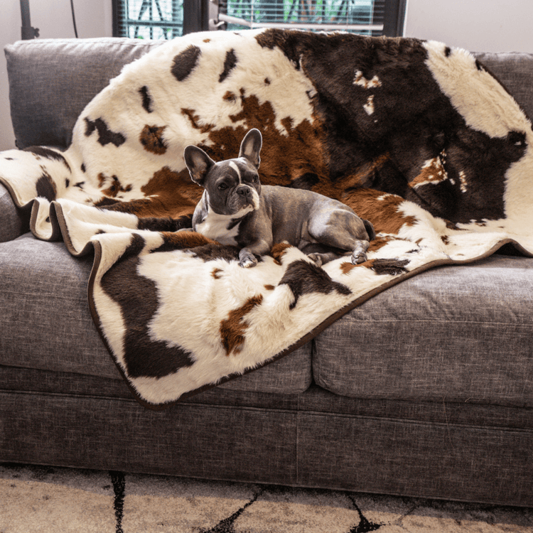 Paw.com x BarkBox PupProtector™ Waterproof Throw Blanket - Brown Faux Cowhide