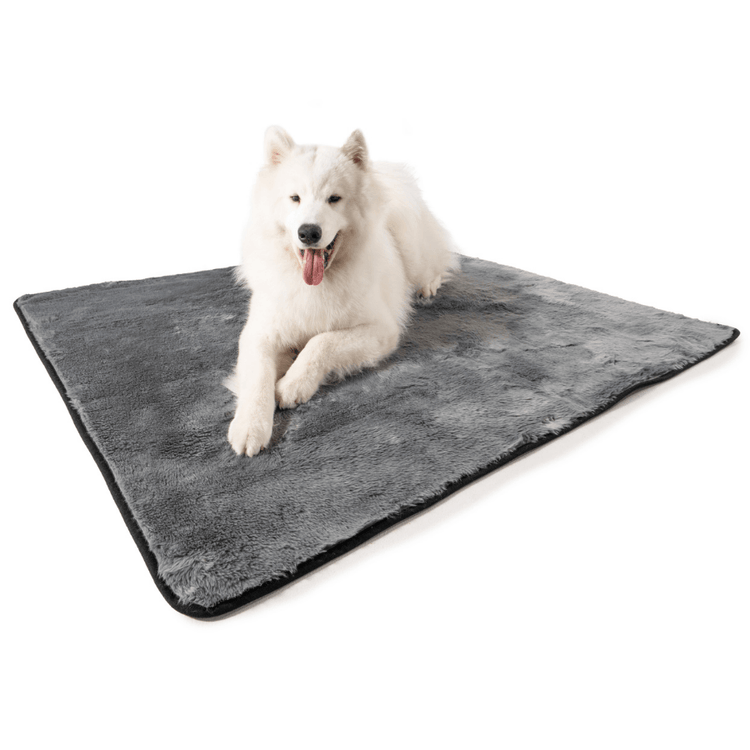 Paw.com x BarkBox PupProtector™ Short Fur Waterproof Throw Blanket - Charcoal Grey