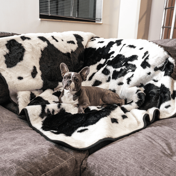 Paw.com x BarkBox PupProtector™ Waterproof Throw Blanket -  Black Faux Cowhide