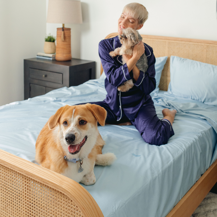 PupSheets™ Hair Resistant, Antimicrobial & Cooling Duvet Cover and Sheet Set Bundle - Sky Blue