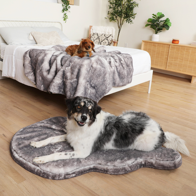 PupRug™ Luxe Orthopedic Bed + Matching Waterproof Blanket Bundle - Ultra Soft Chinchilla