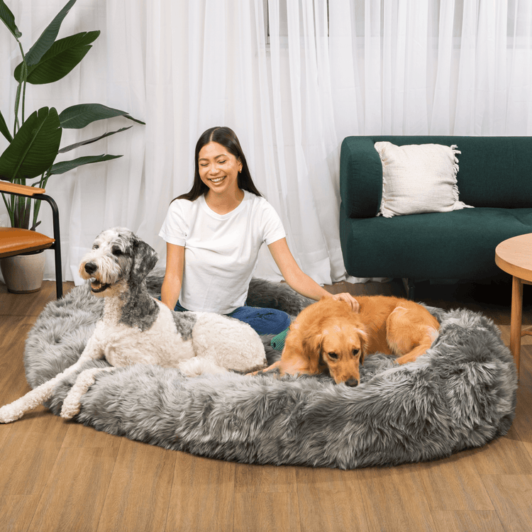 PupCloud™ Human Size Dog Bed + FREE Matching Waterproof Blanket